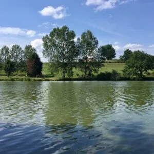l'étang de st Gérand de Vaux