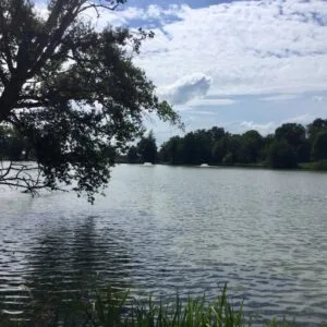 l'étang de st Gérand de Vaux